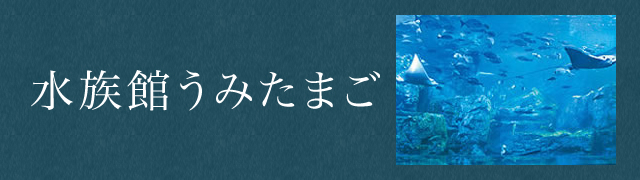 水族館うみたまご